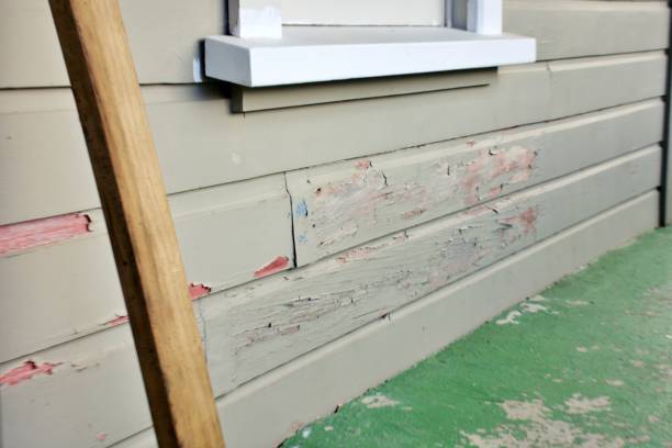 Best Insulated Siding Installation  in Cold Spring, NY